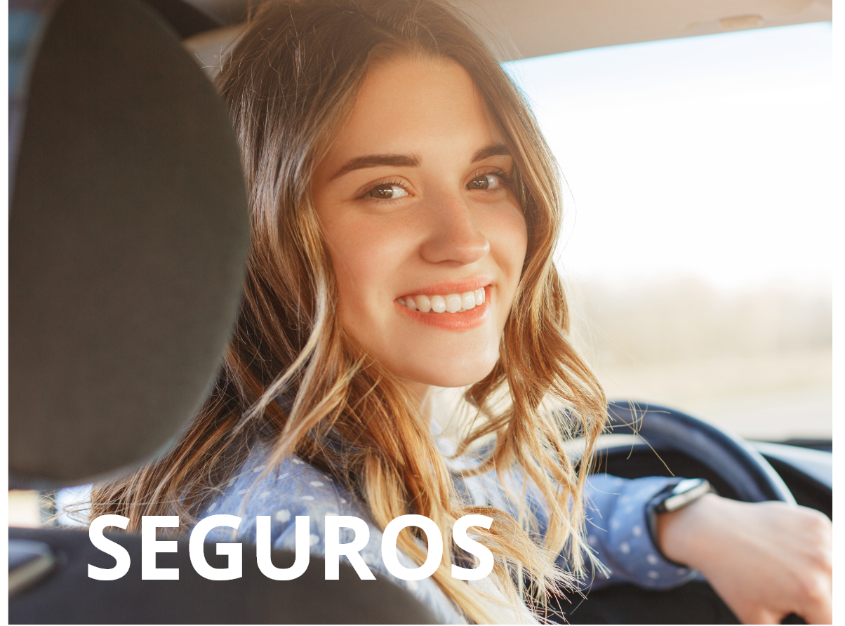 Seguros (2)